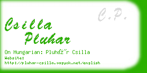 csilla pluhar business card